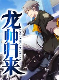 龙帅归来-封面