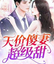 天价傻妻超级甜封面
