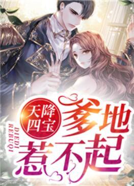 天降四宝，爹地惹不起封面