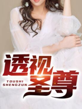 透视圣尊封面