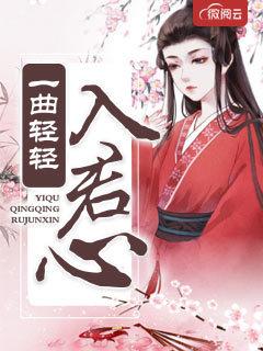 一曲轻轻入君心封面