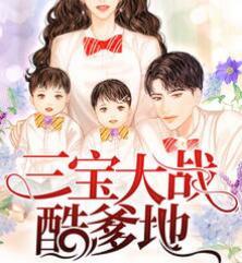 三宝大战酷爹地免费阅读大结局封面