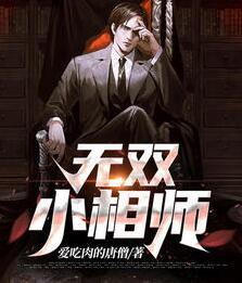 叶川安馨小说封面