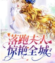 顾倾城京澜辰小说名封面