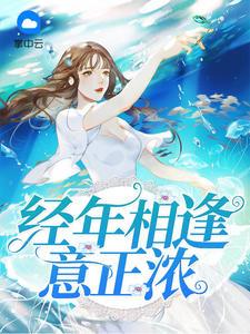 经年相逢意正浓封面