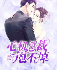 心机总裁甩不掉封面