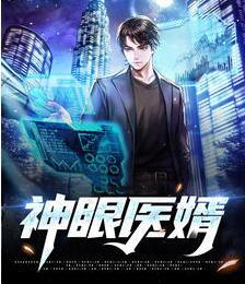 神眼医婿封面