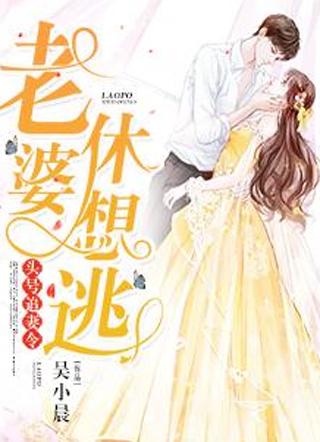 沈翔沈天虎小说封面