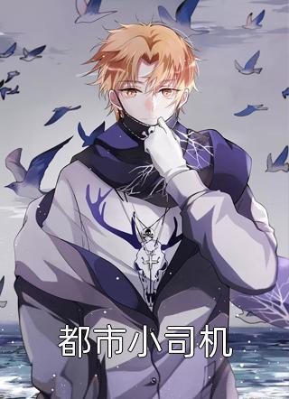 重生之佳妻来袭封面