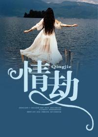 司瑶罗元臣封面