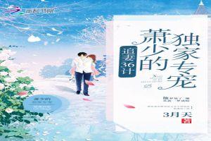 夏知秋江秉宸封面