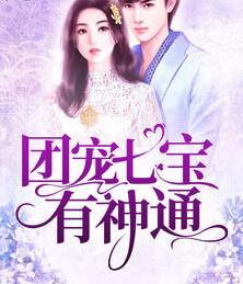 顾婉陆夜寒封面