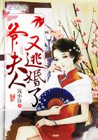 爷，夫人又逃婚了封面
