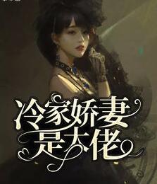 冷家娇妻是大佬封面