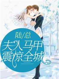 安暖陆之宴最新章节免费阅读封面