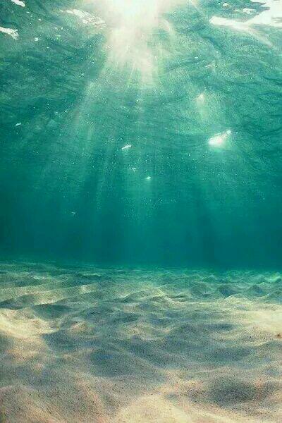 云绾儿萧晏之小说封面