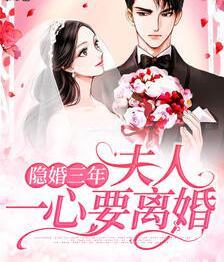 隐婚三年夫人一心要离婚封面