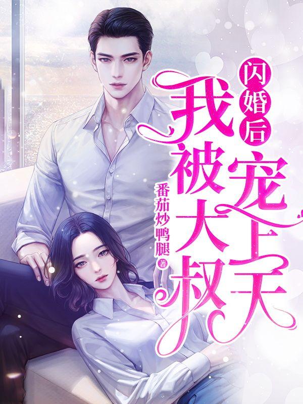 林初宁陆司宴封面