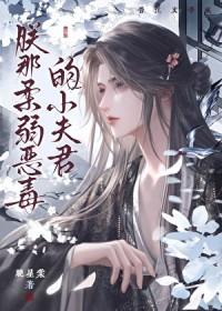 朕那柔弱恶毒的小夫君封面