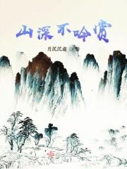 山深不吟赏封面