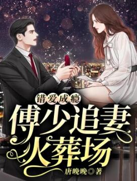 傅沛和林婉婉免费阅读封面