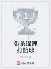 带条锦鲤打篮球封面