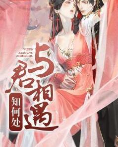 与君相遇知何处封面