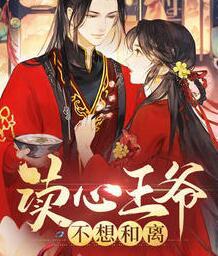 东陵国辰王府封面