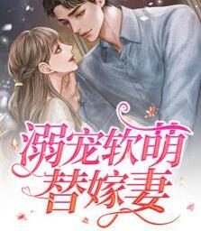 守寡娇妻不甜封面