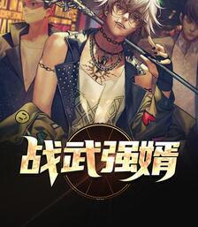 战武强婿封面
