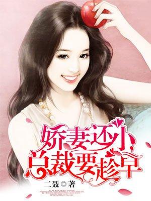 娇妻还小，总裁要趁早封面